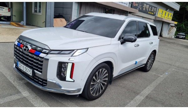 The New Palisade 3.8 4WD