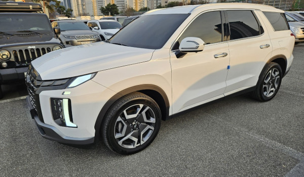 The New Palisade 3.8 2WD