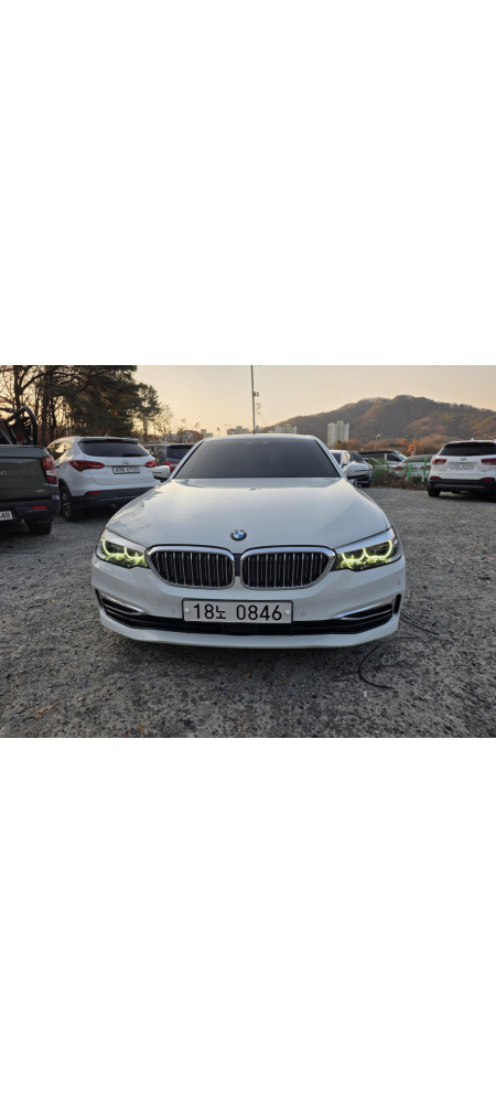 BMW5(G30) 520i luxury